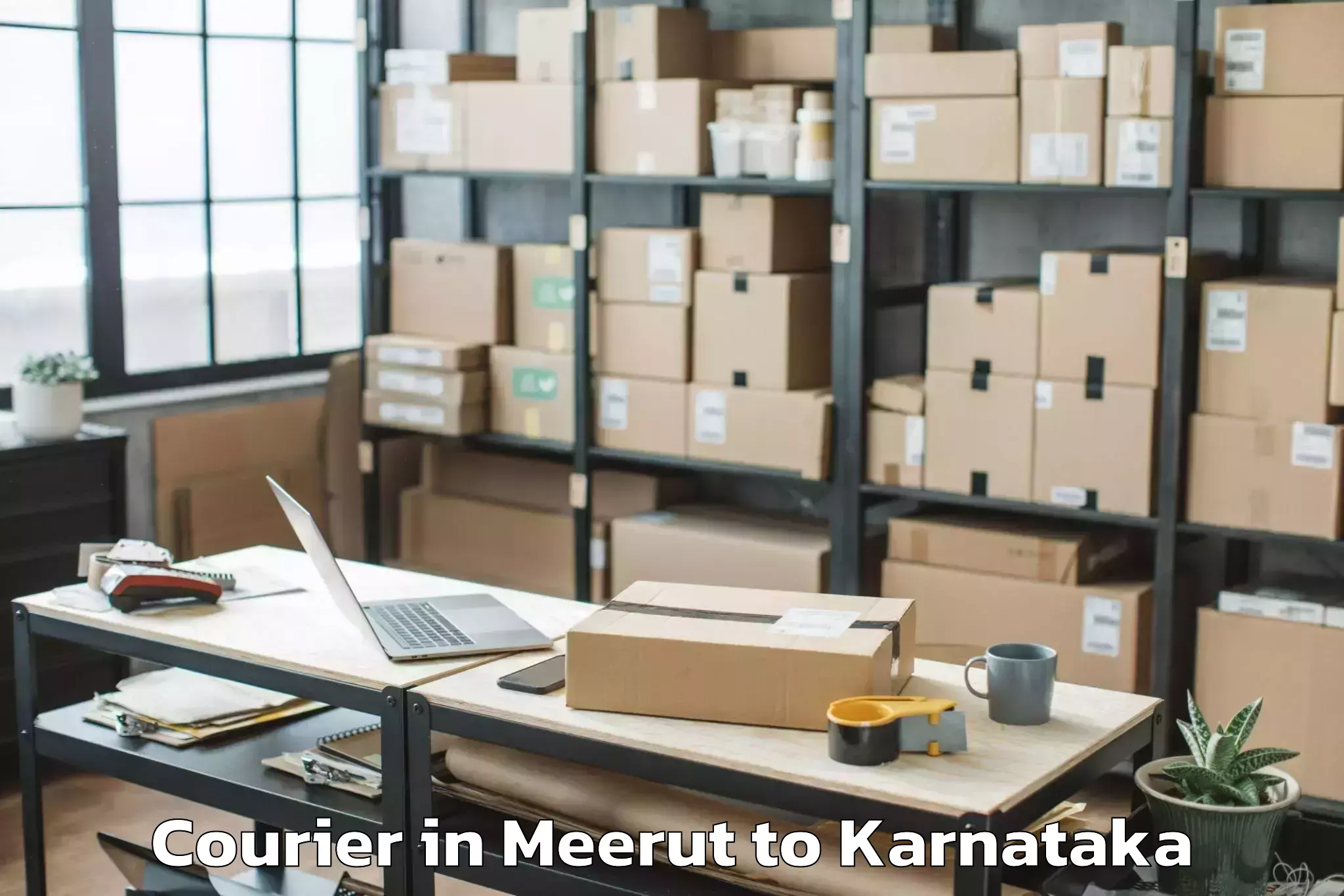 Leading Meerut to Molakalmuru Courier Provider